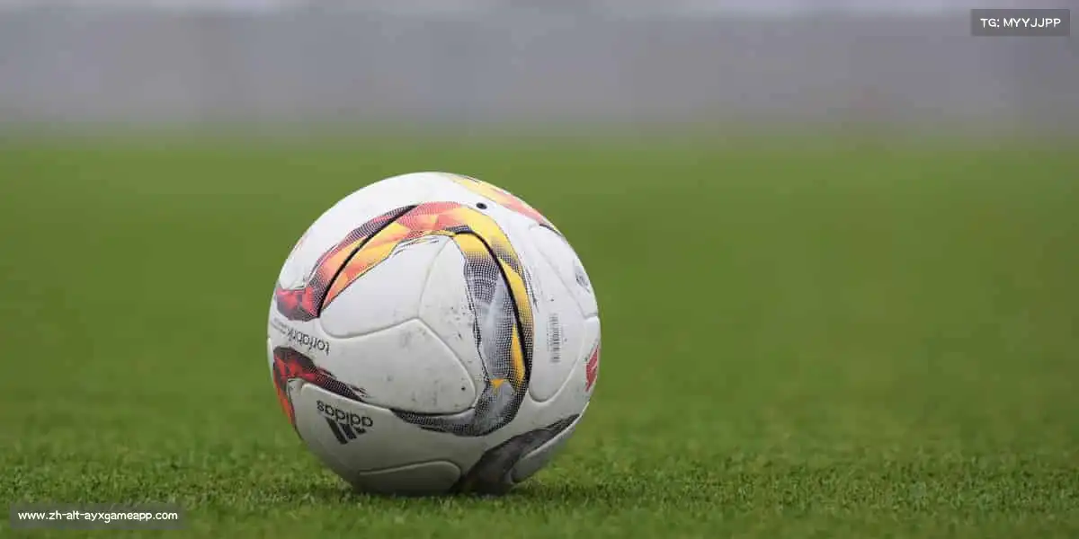 爱游戏官方首页——🏆体育精神，永不止步！